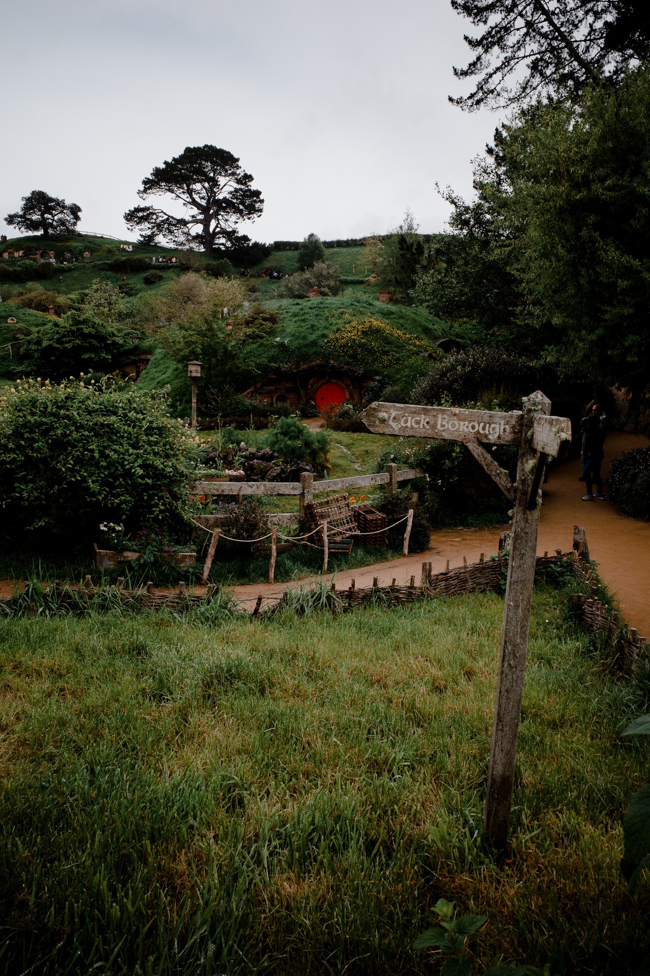 New Zealand - North Island - Chris A James