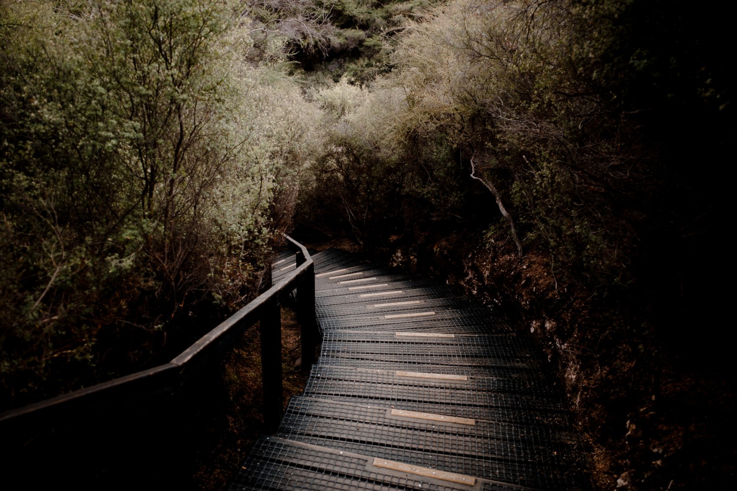 New Zealand - North Island - Chris A James