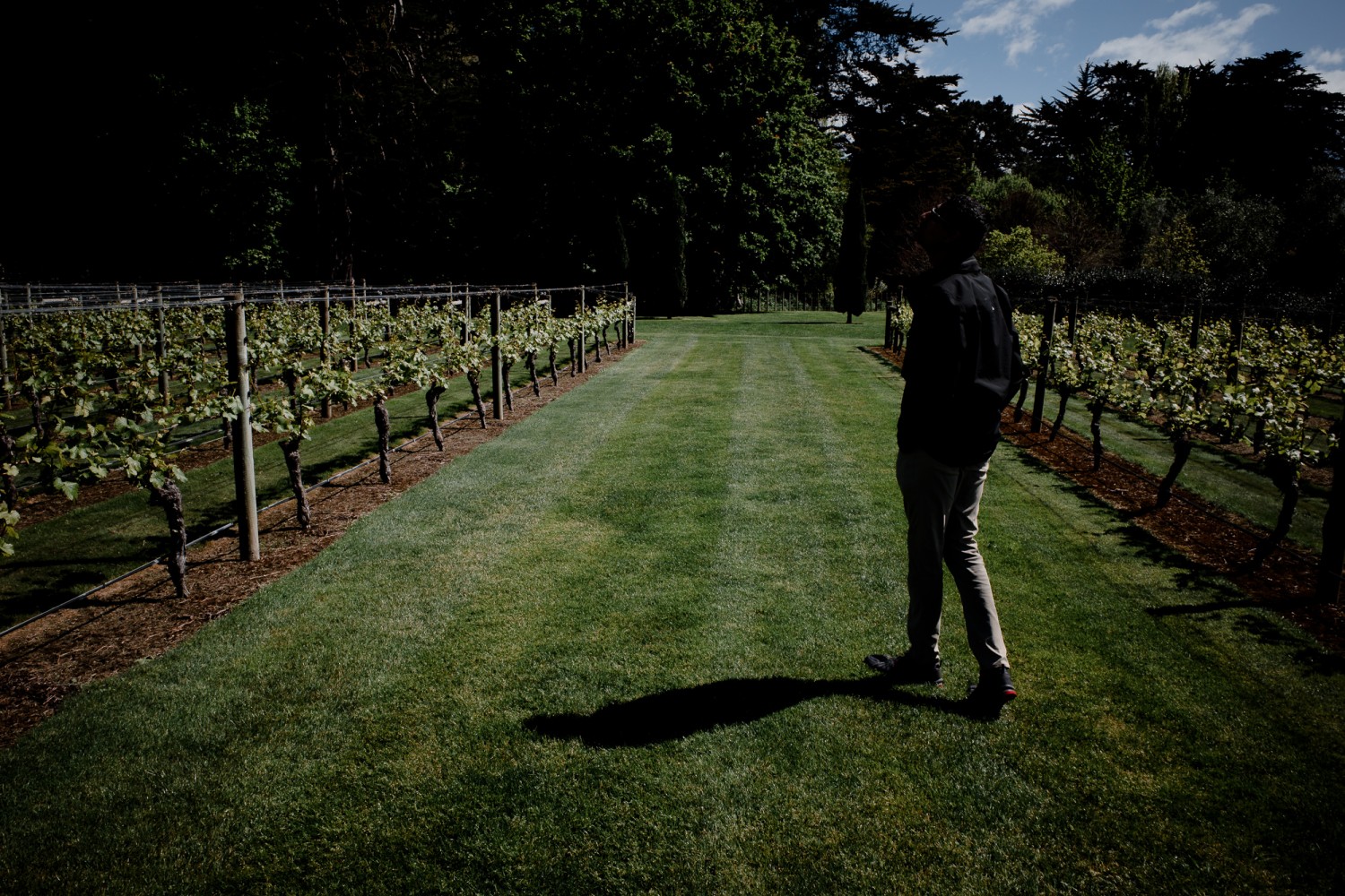 New Zealand - North Island - Chris A James