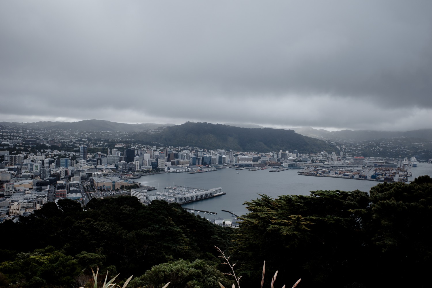 New Zealand - North Island - Chris A James