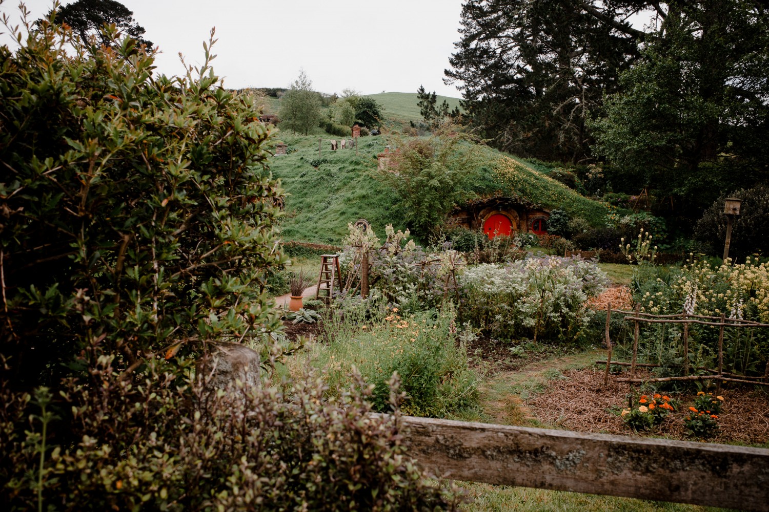 New Zealand - North Island - Chris A James