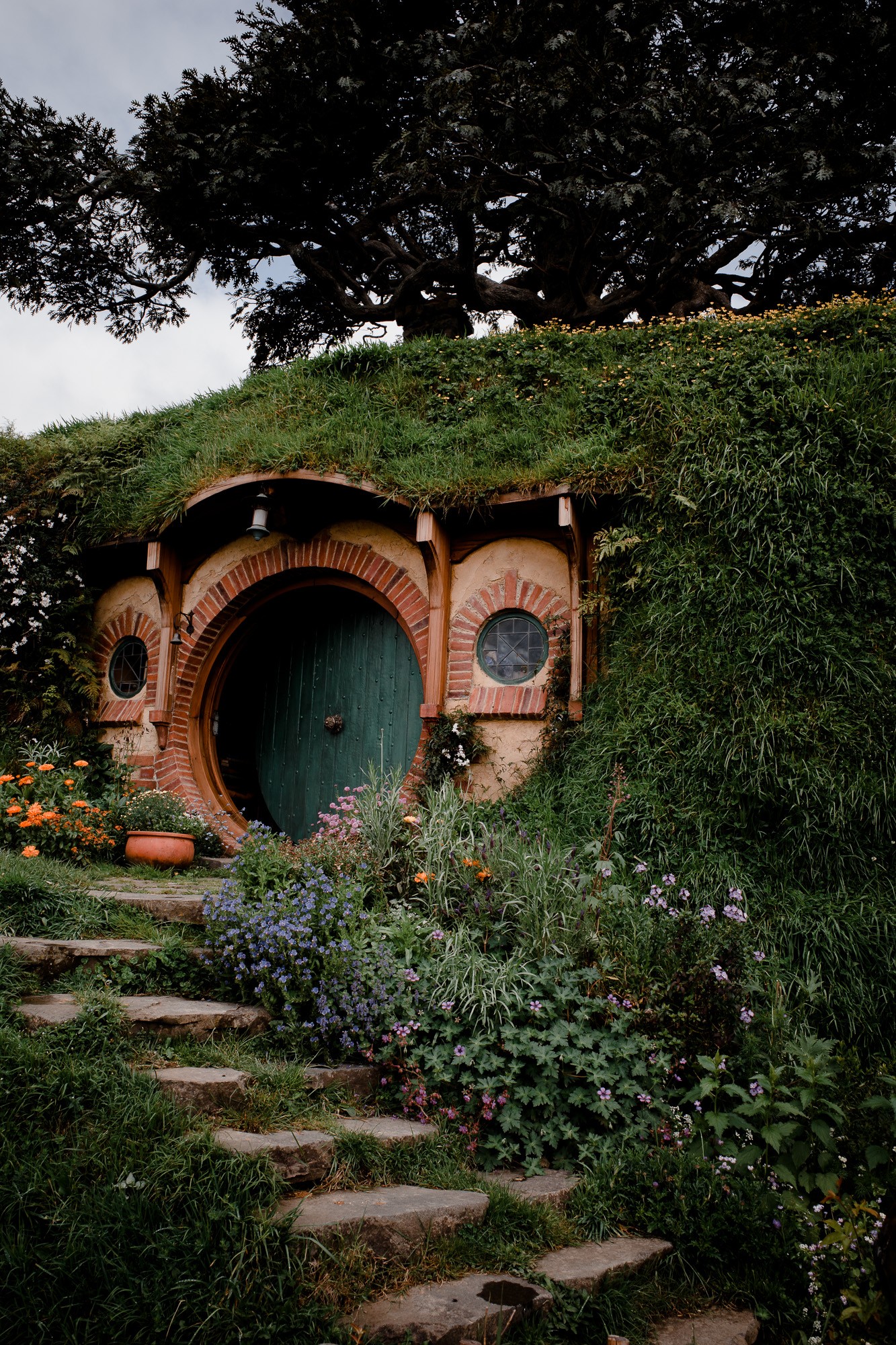 New Zealand - North Island - Chris A James