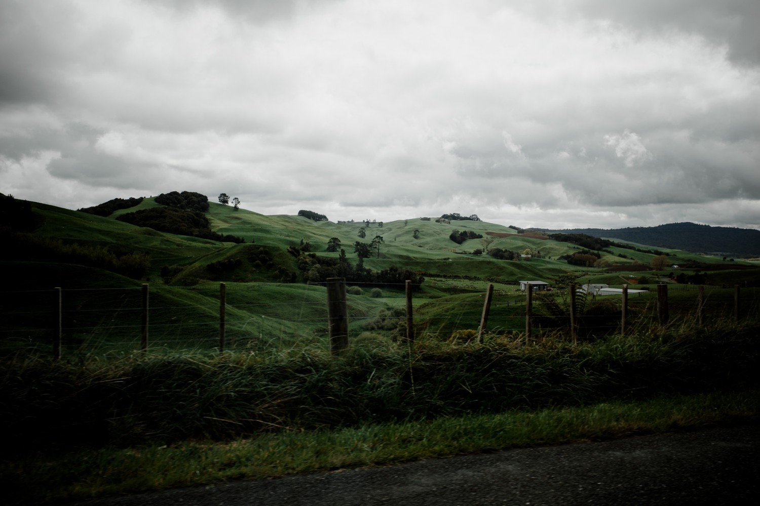 New Zealand - North Island - Chris A James