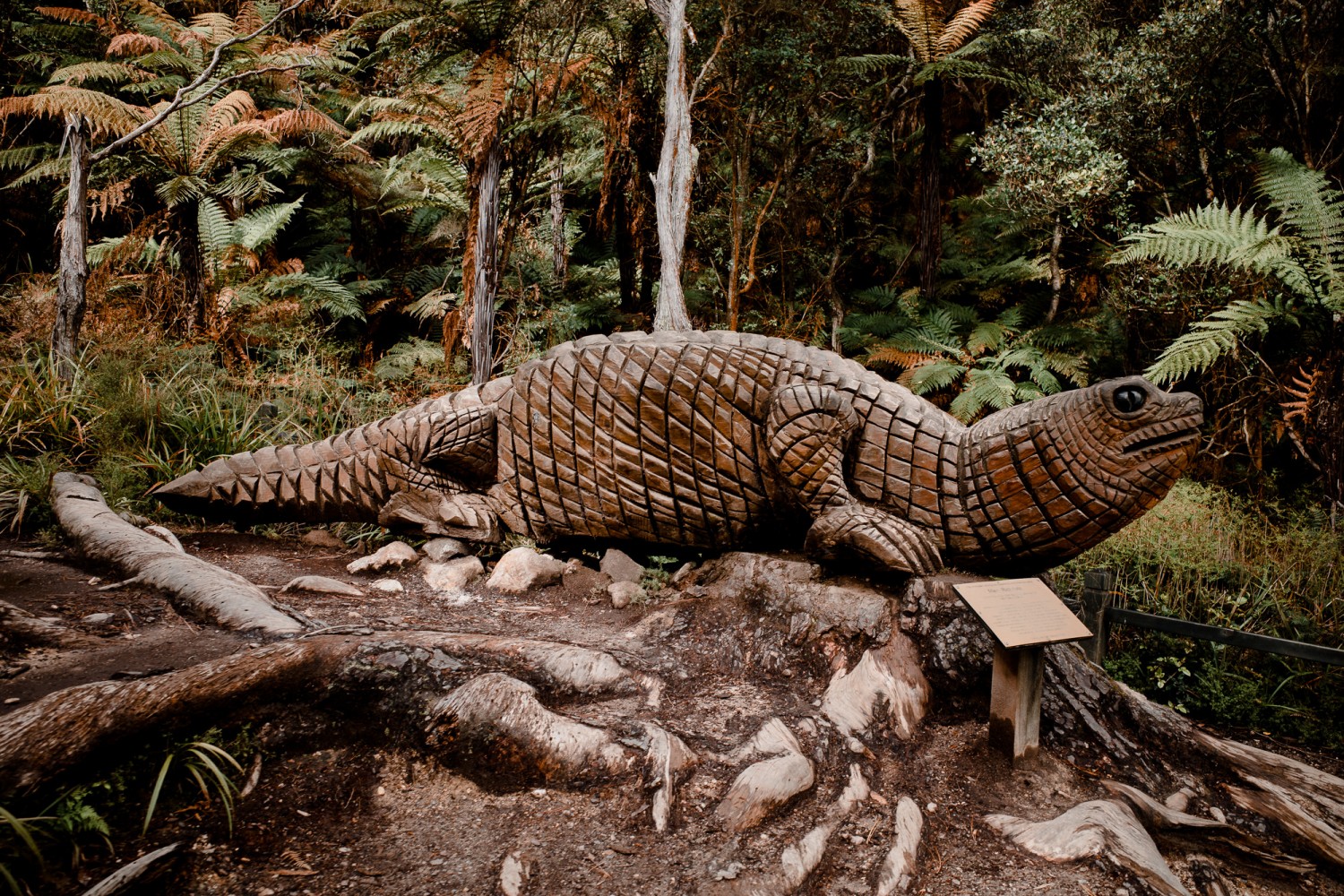 New Zealand - North Island - Chris A James