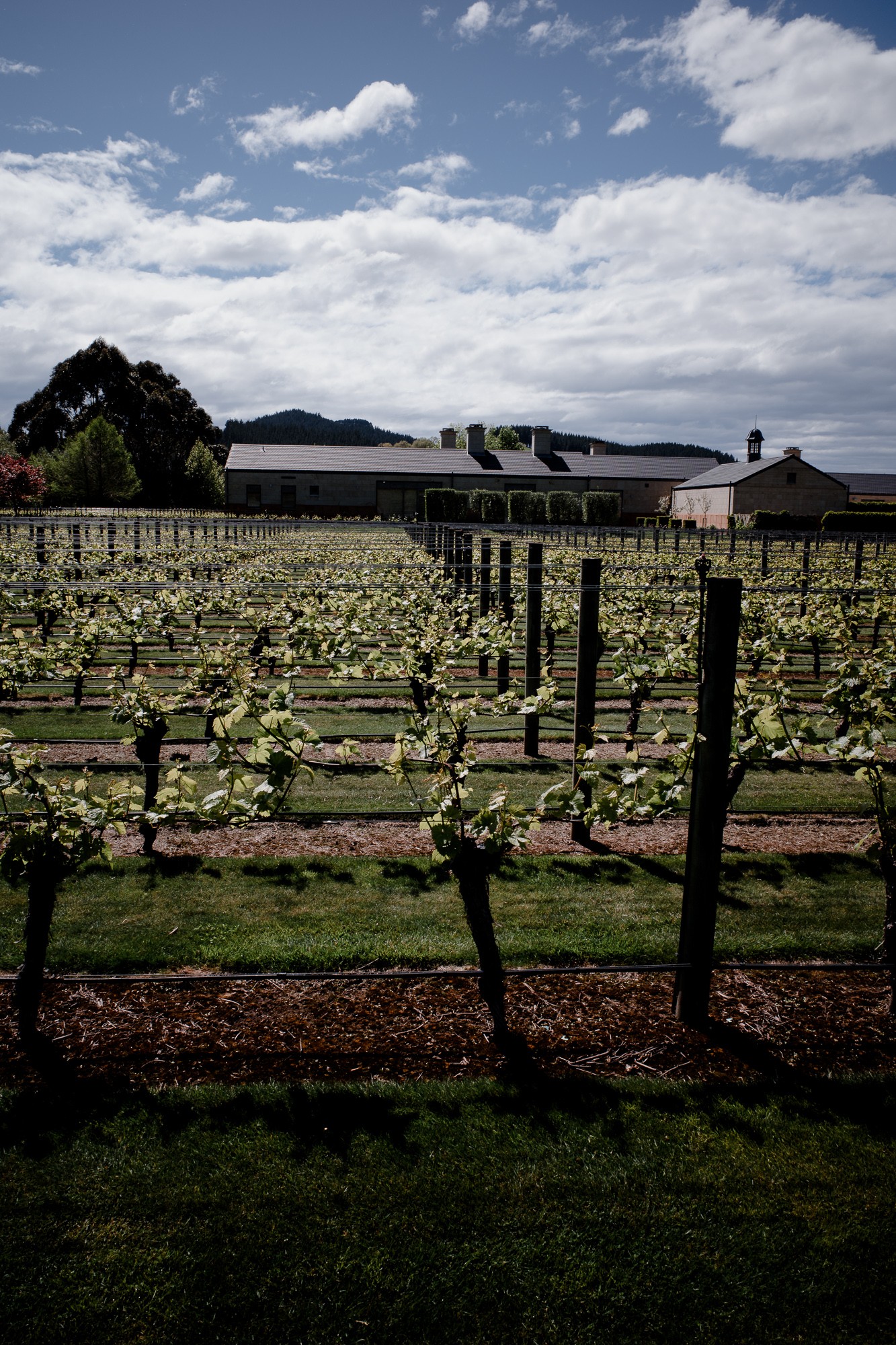 New Zealand - North Island - Chris A James