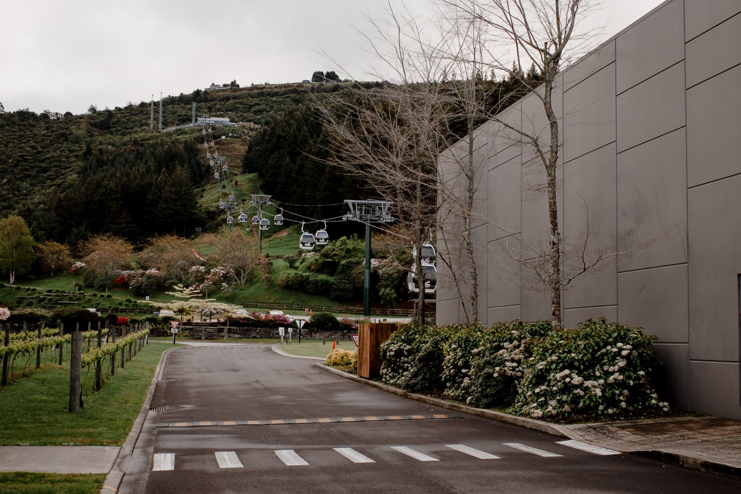 New Zealand - North Island - Chris A James