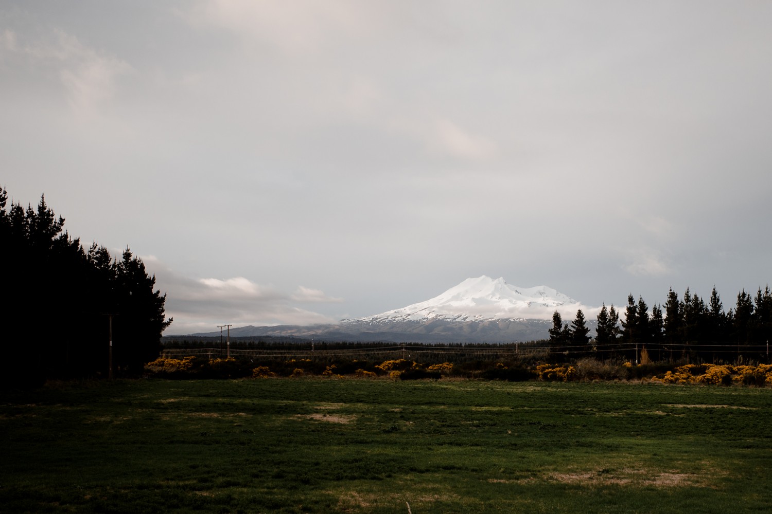 New Zealand - North Island - Chris A James