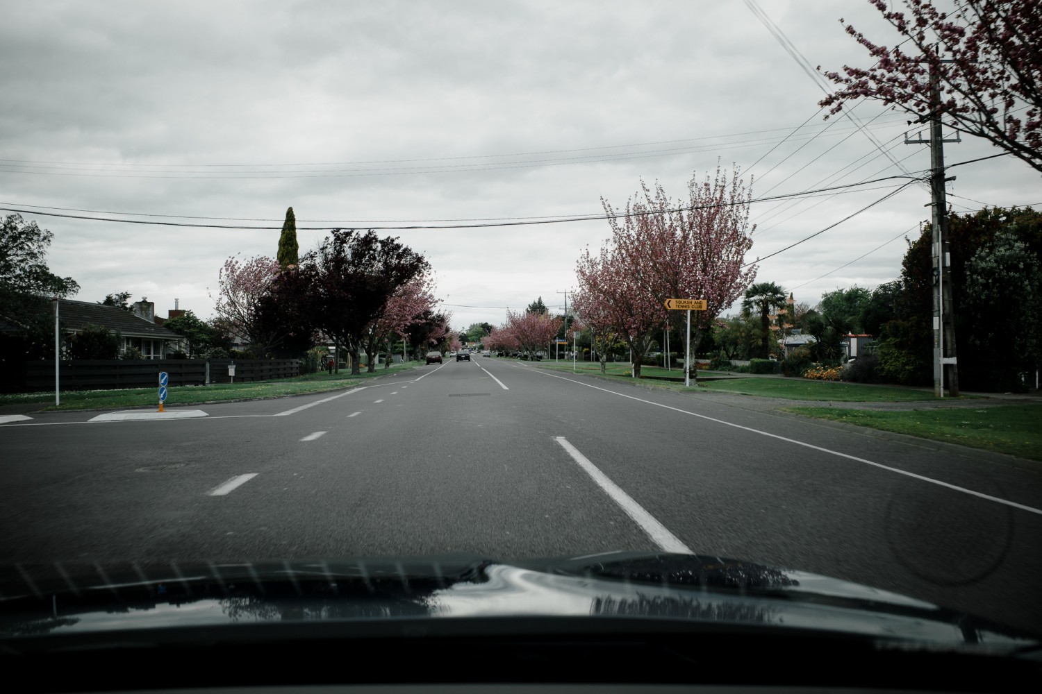 New Zealand - North Island - Chris A James