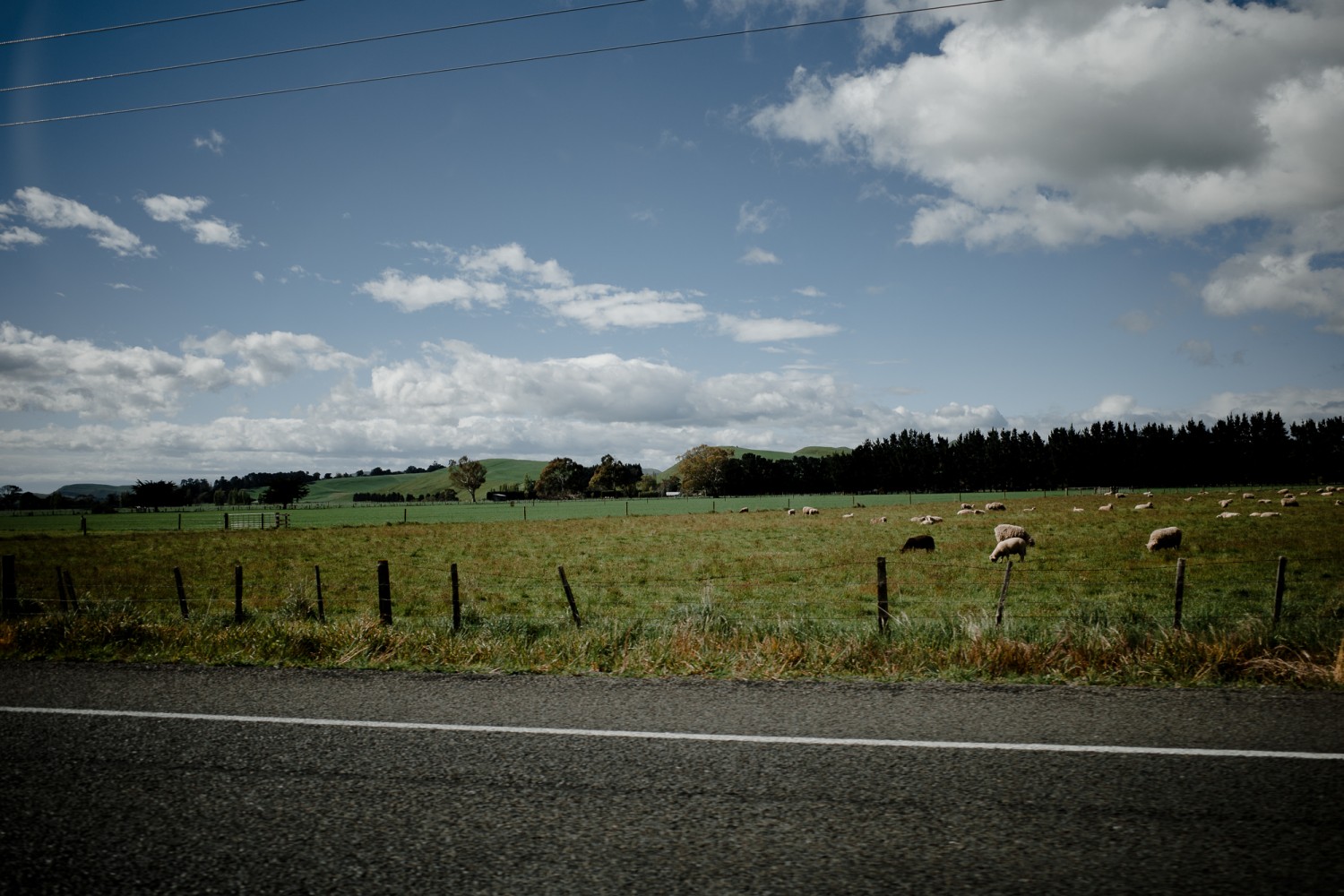 New Zealand - North Island - Chris A James
