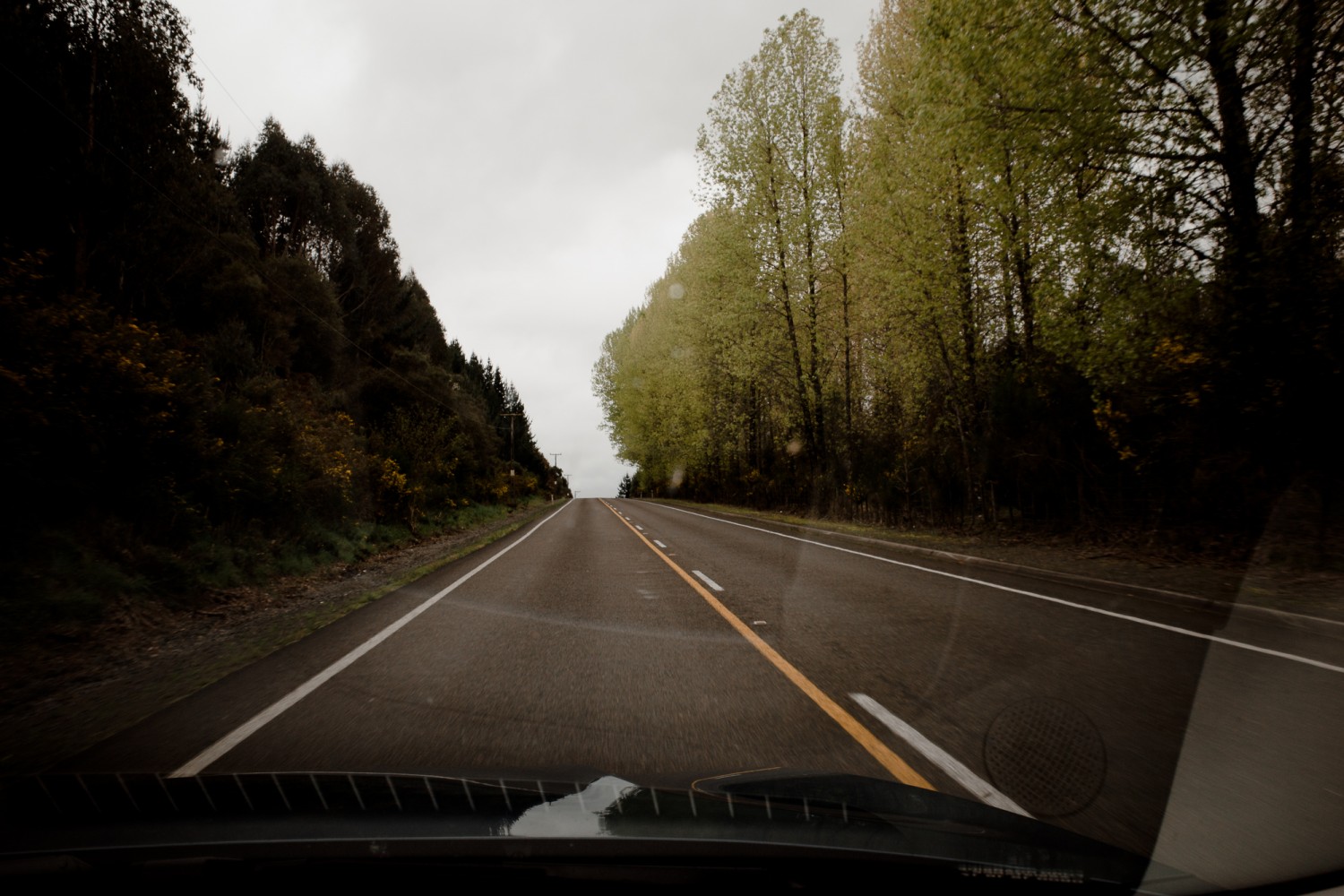 New Zealand - North Island - Chris A James