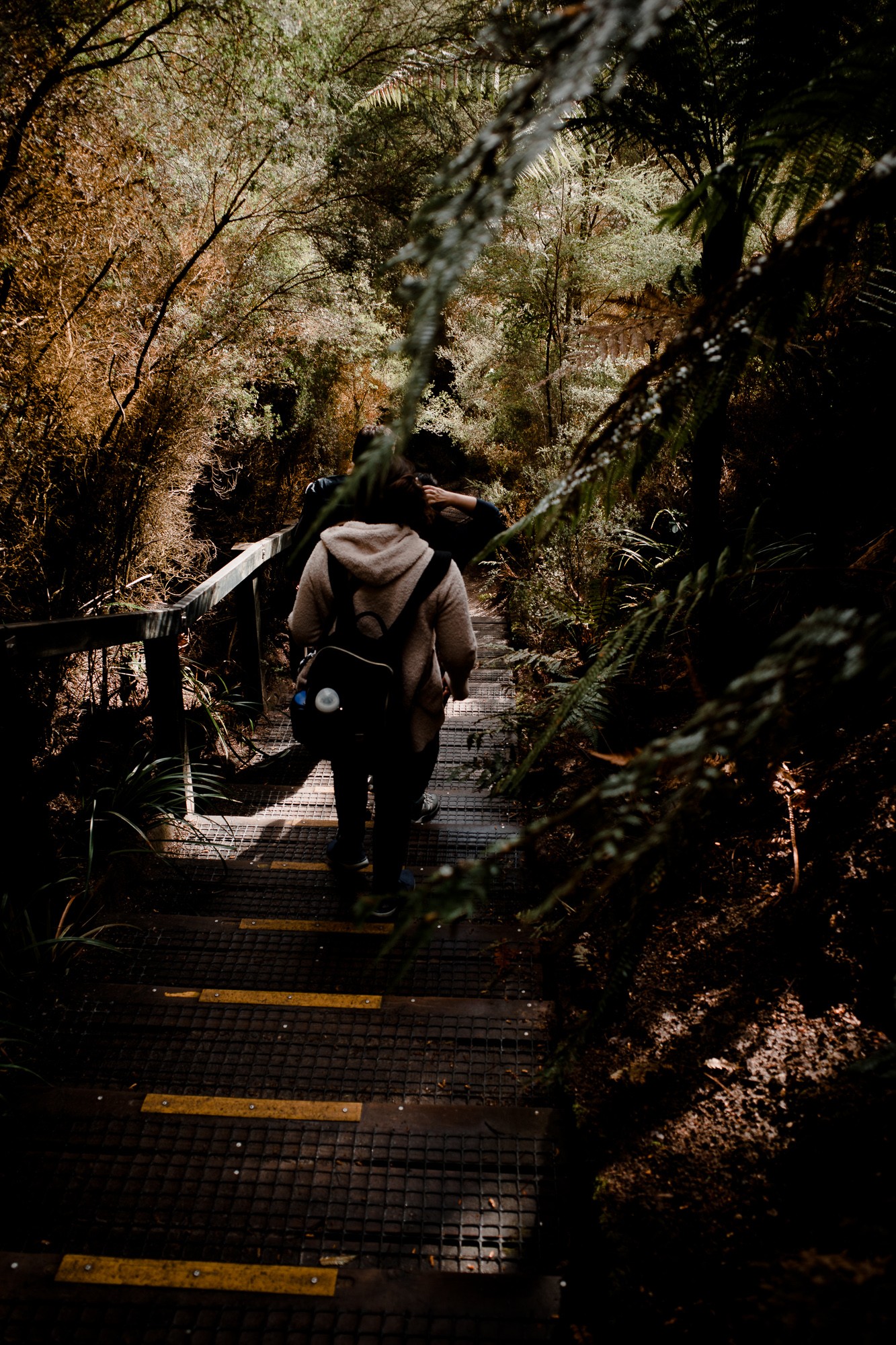 New Zealand - North Island - Chris A James