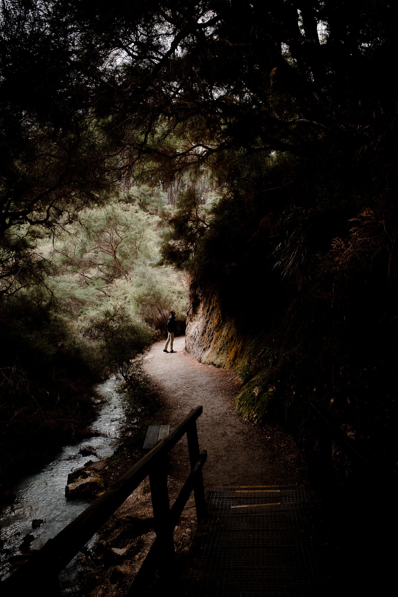 New Zealand - North Island - Chris A James