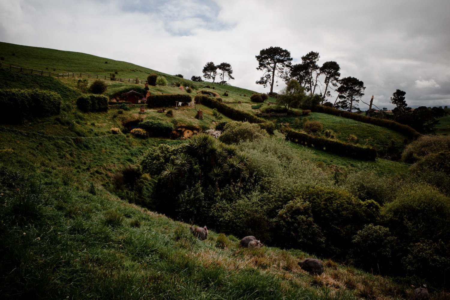 New Zealand - North Island - Chris A James