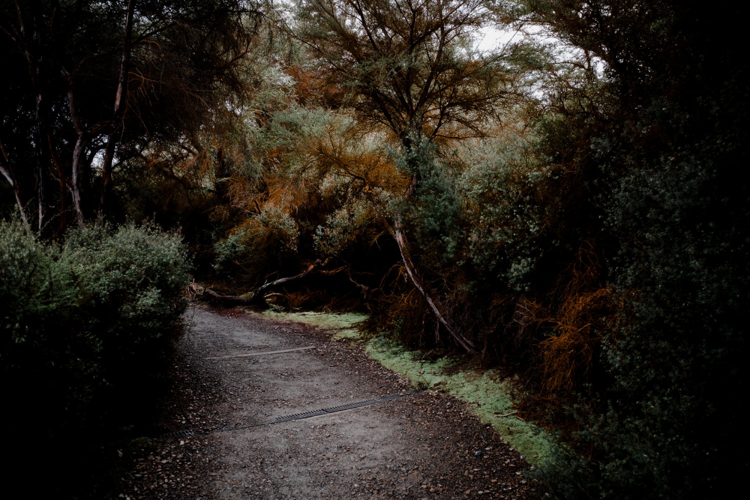 New Zealand - North Island - Chris A James