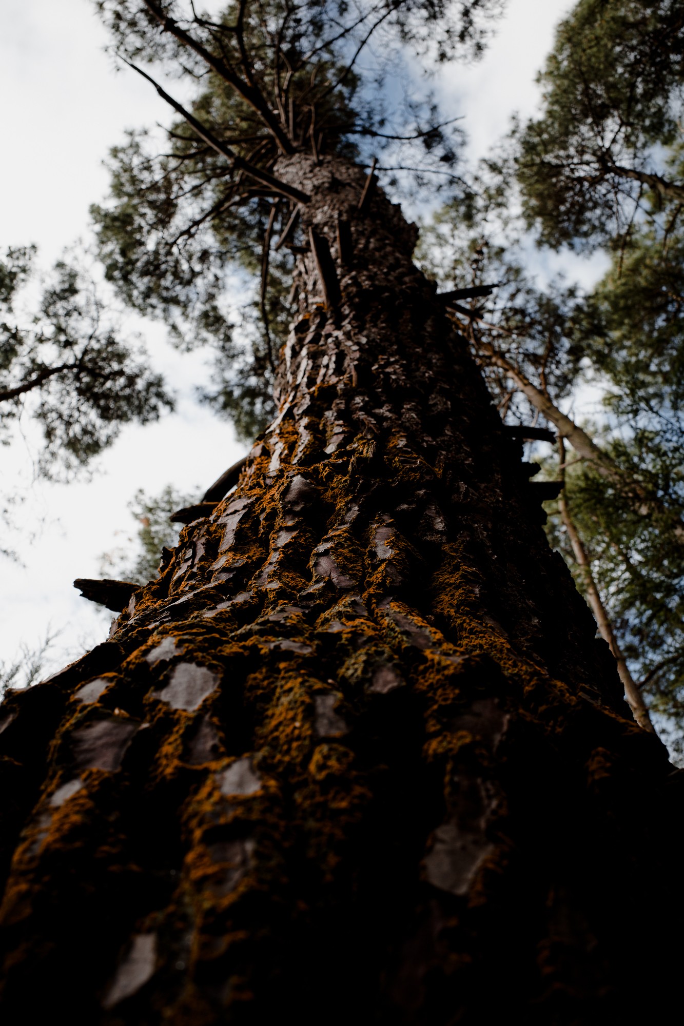 New Zealand - North Island - Chris A James