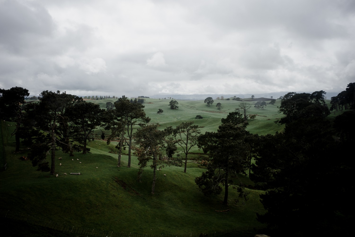 New Zealand - North Island - Chris A James