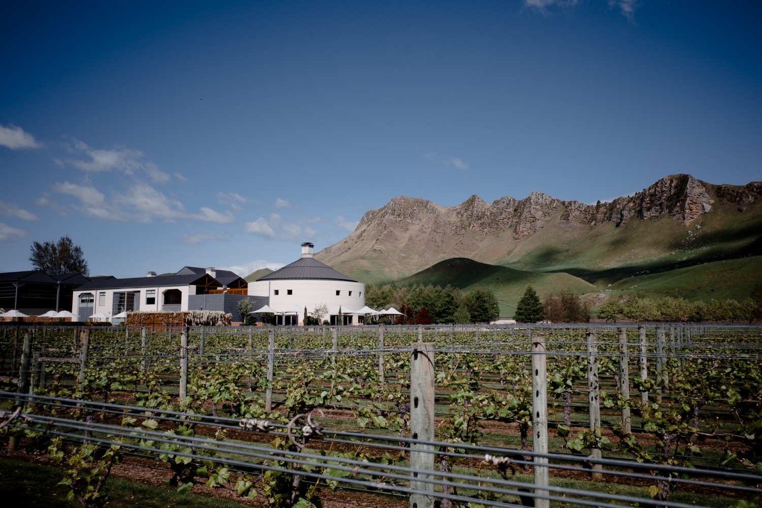 New Zealand - North Island - Chris A James