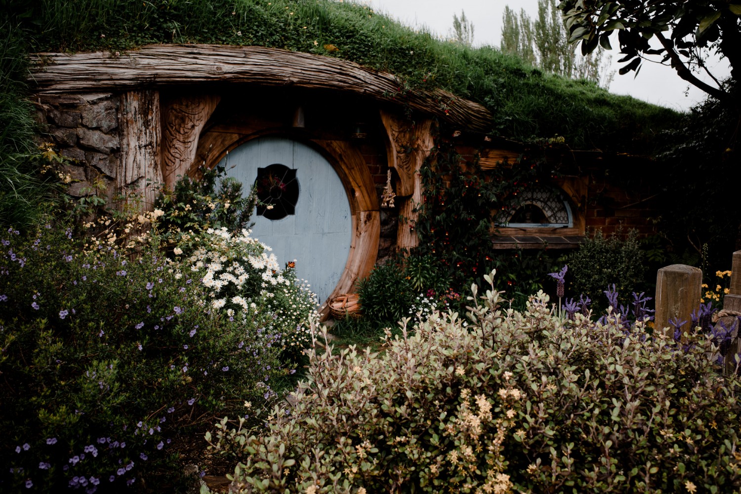 New Zealand - North Island - Chris A James