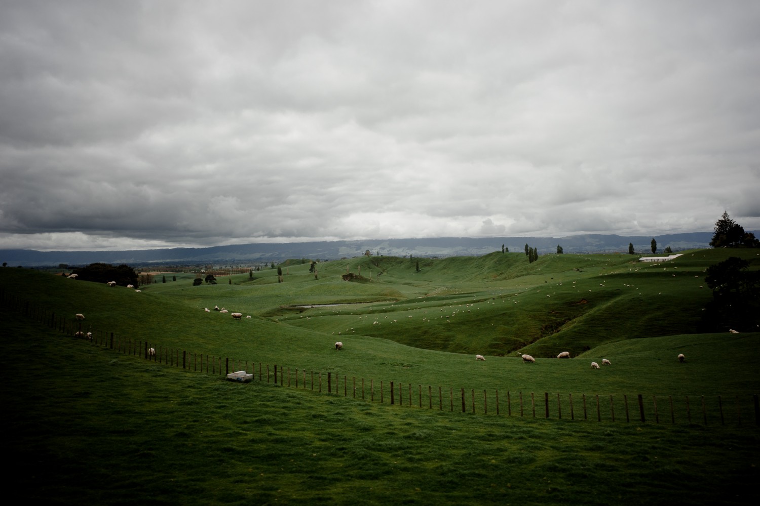 New Zealand - North Island - Chris A James