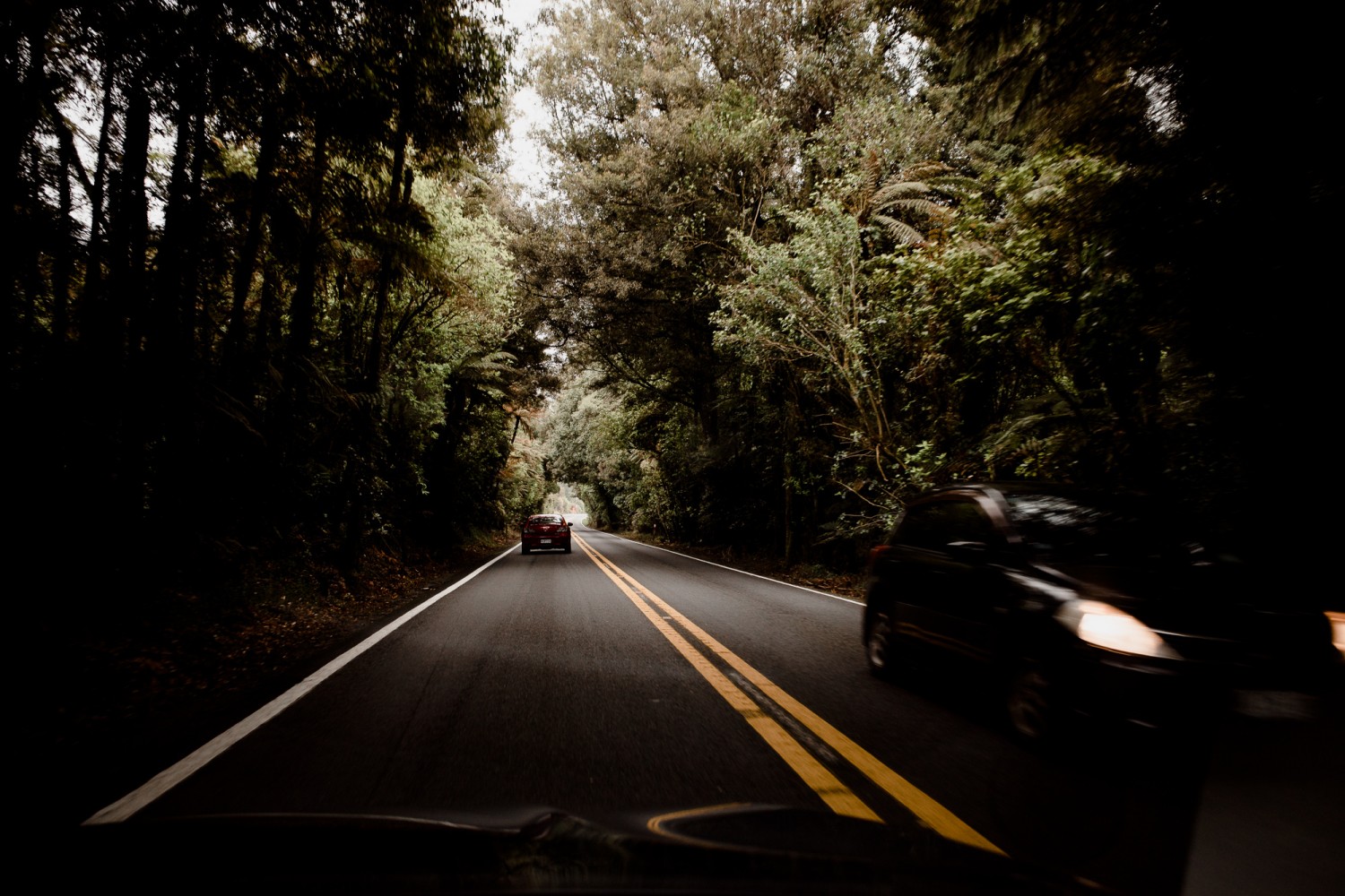 New Zealand - North Island - Chris A James