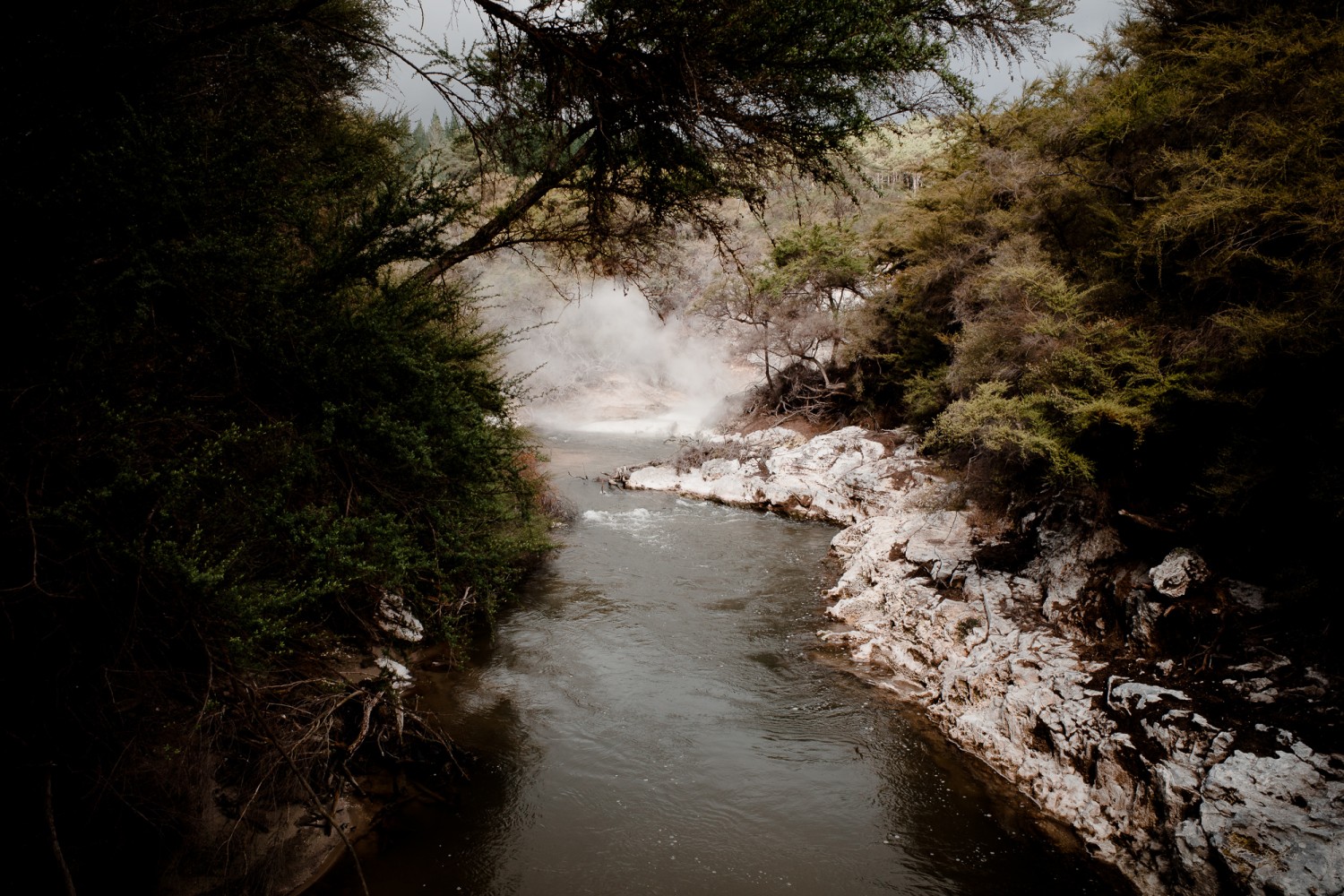 New Zealand - North Island - Chris A James