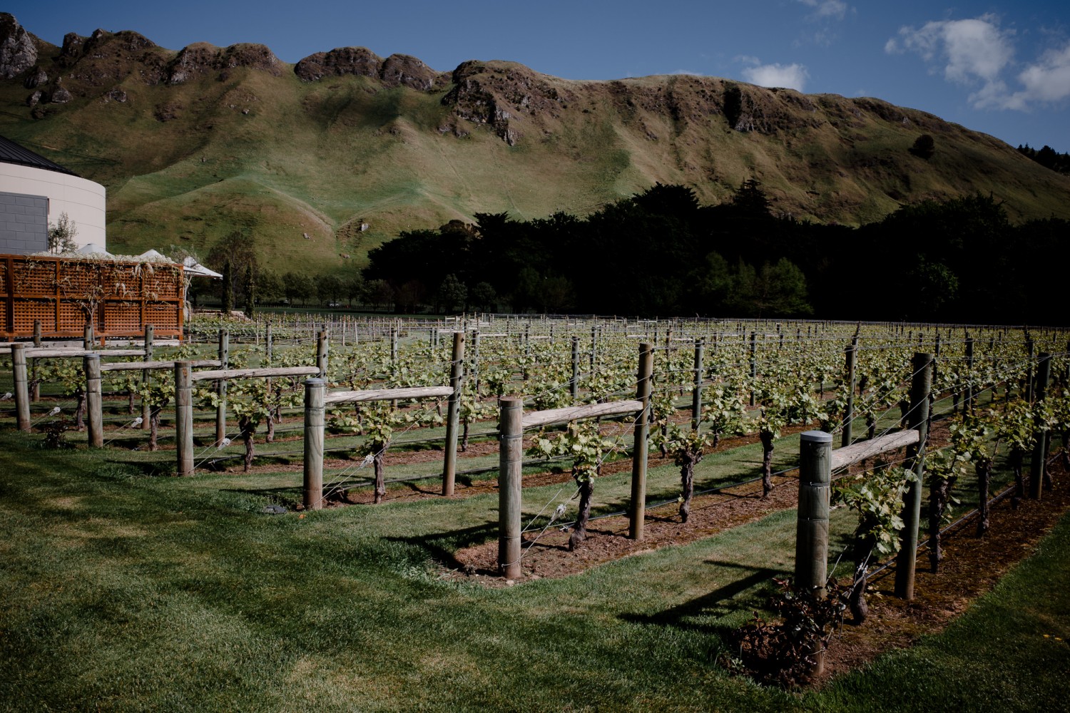 New Zealand - North Island - Chris A James