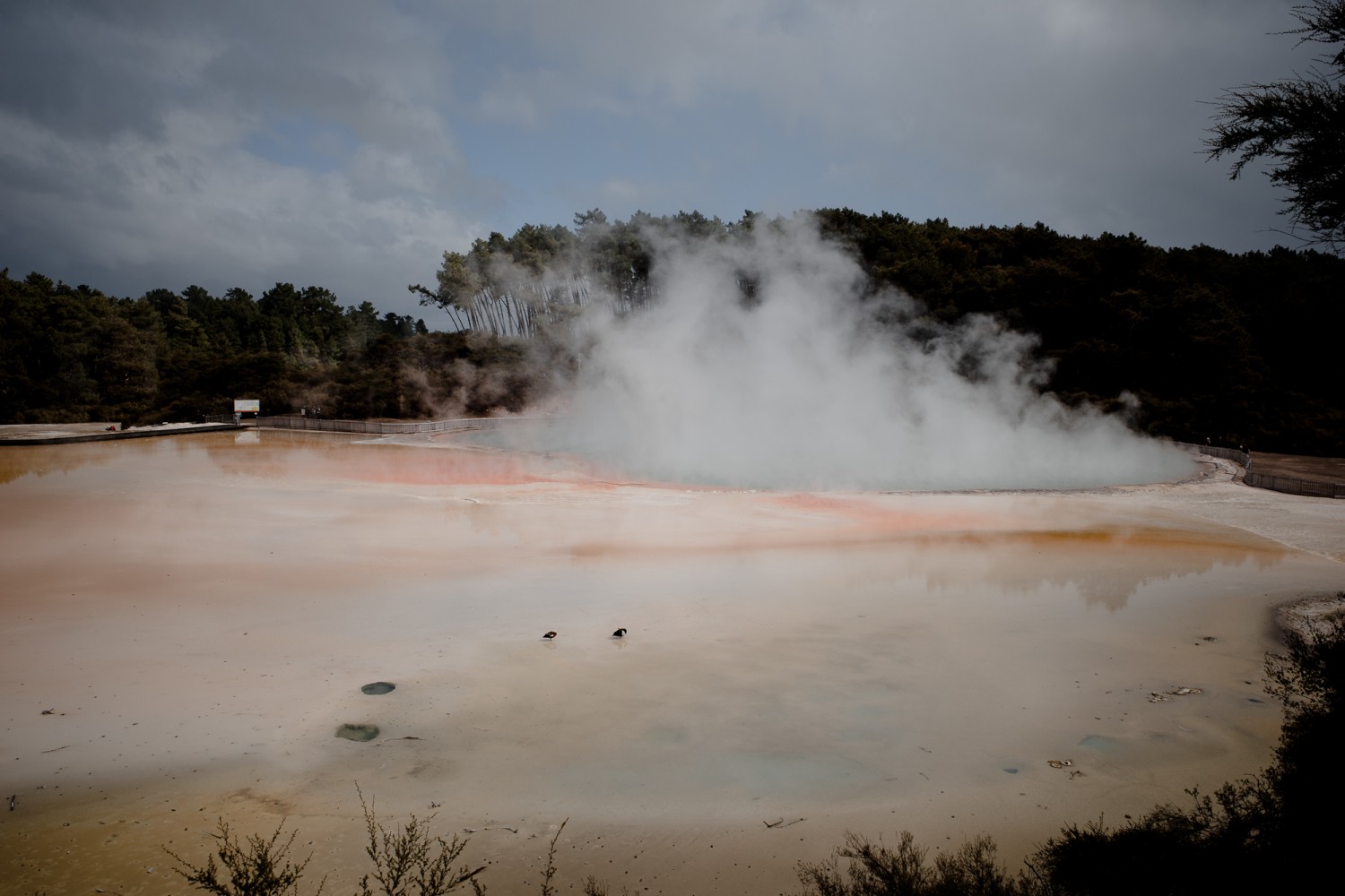 New Zealand - North Island - Chris A James