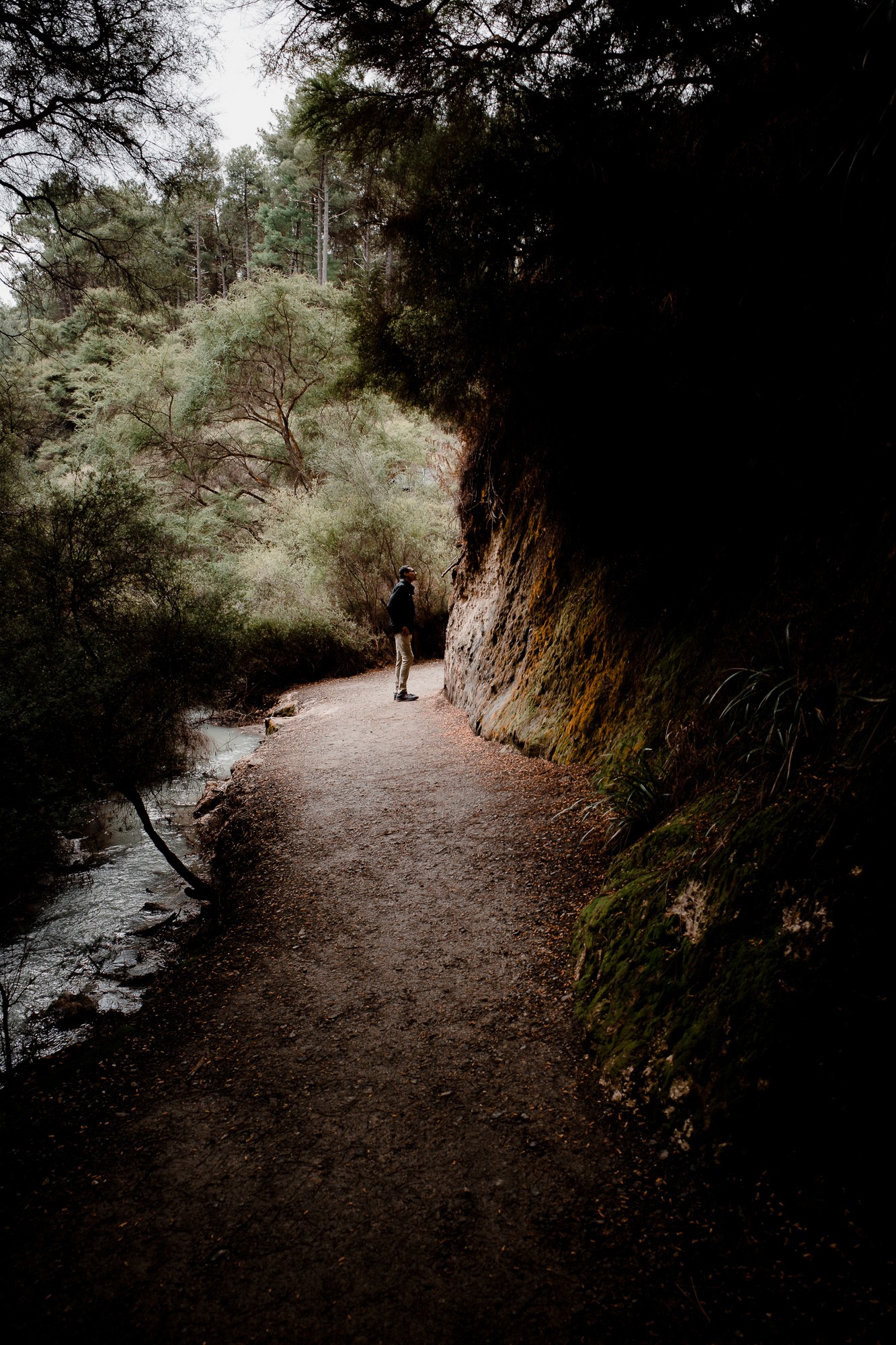 New Zealand - North Island - Chris A James