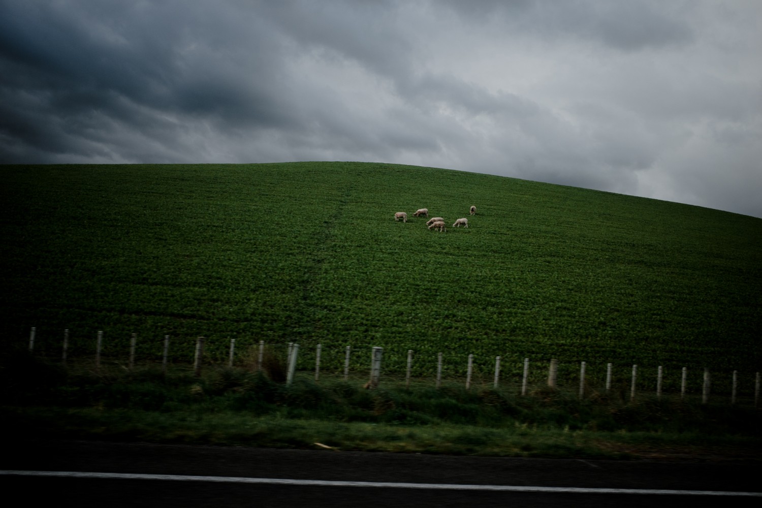 New Zealand - North Island - Chris A James
