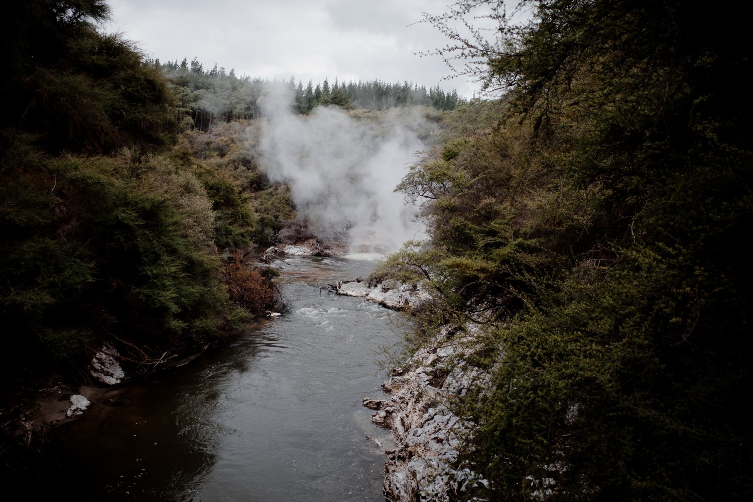 New Zealand - North Island - Chris A James