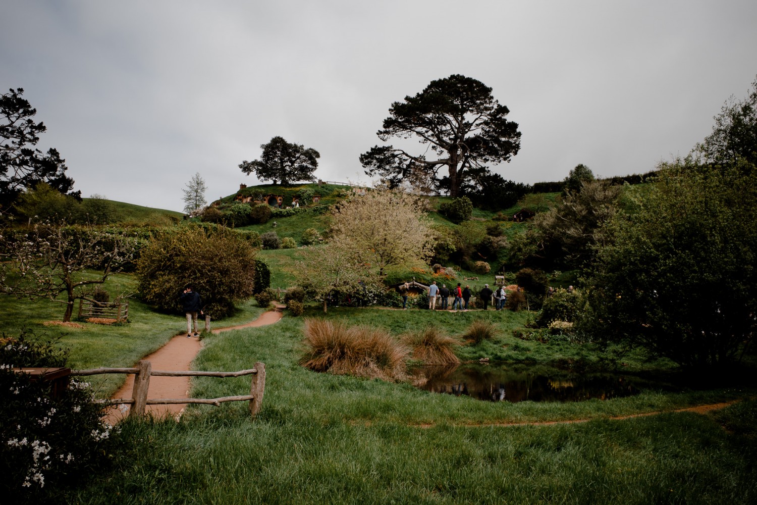 New Zealand - North Island - Chris A James