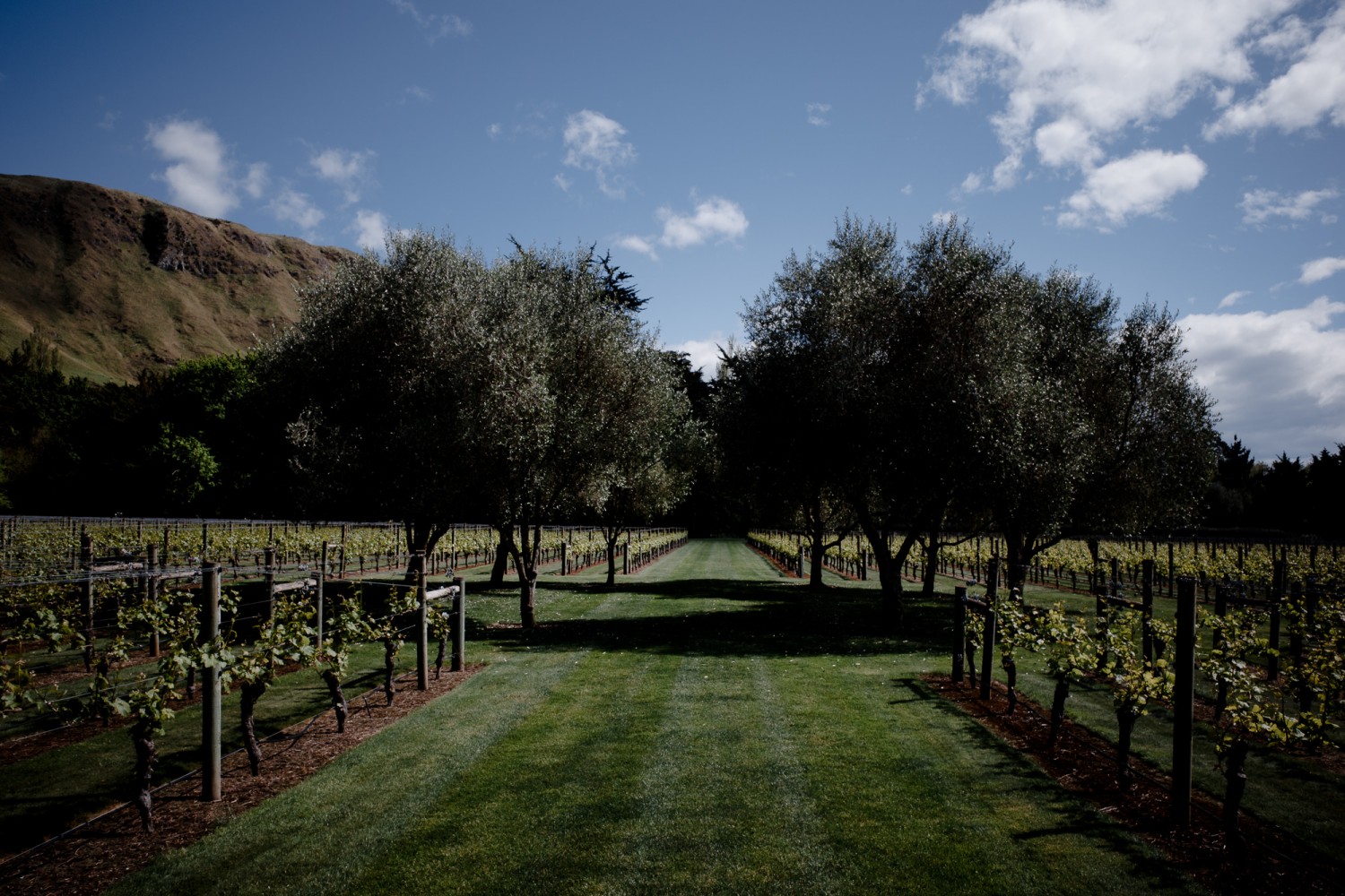 New Zealand - North Island - Chris A James