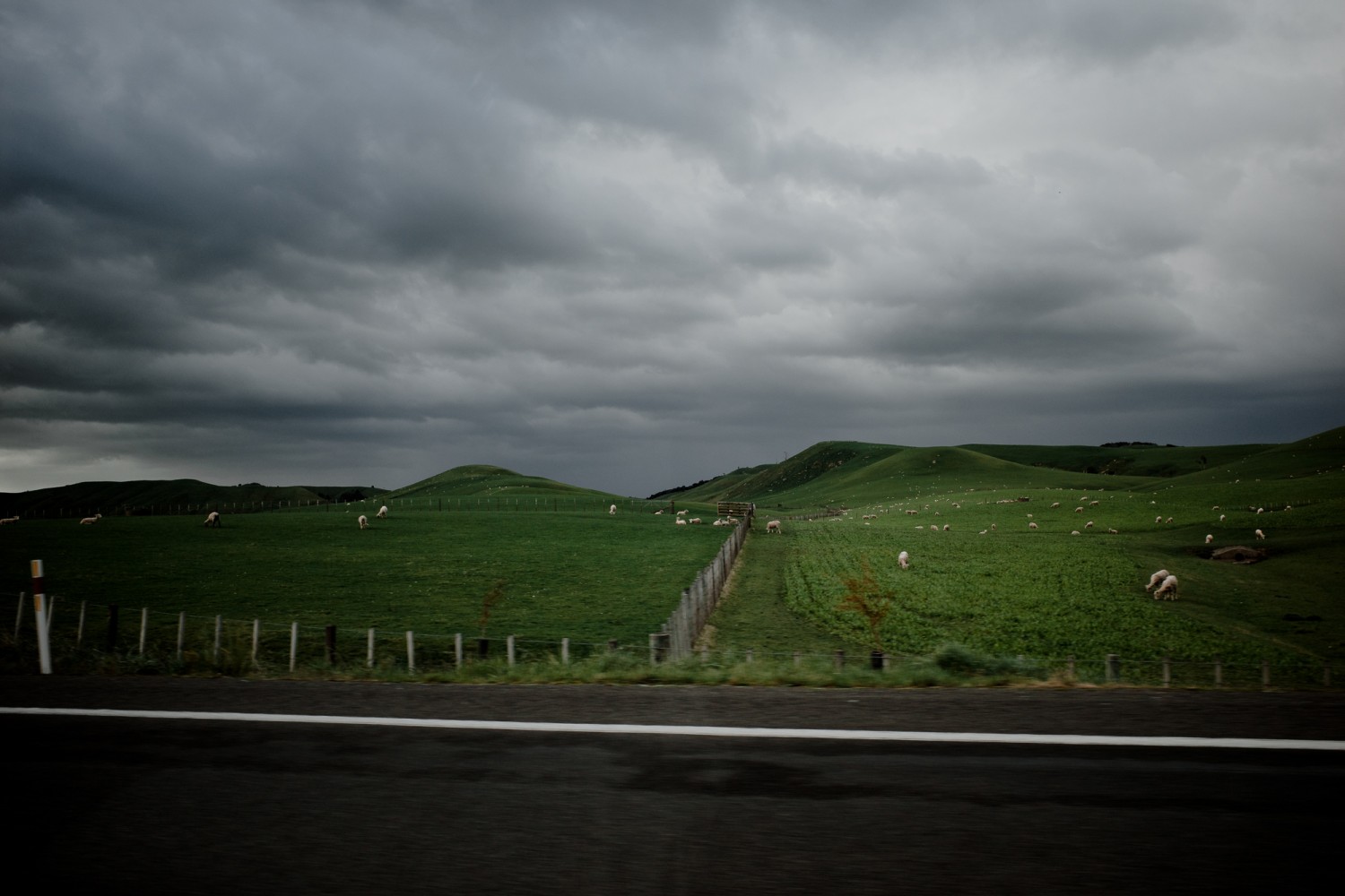 New Zealand - North Island - Chris A James