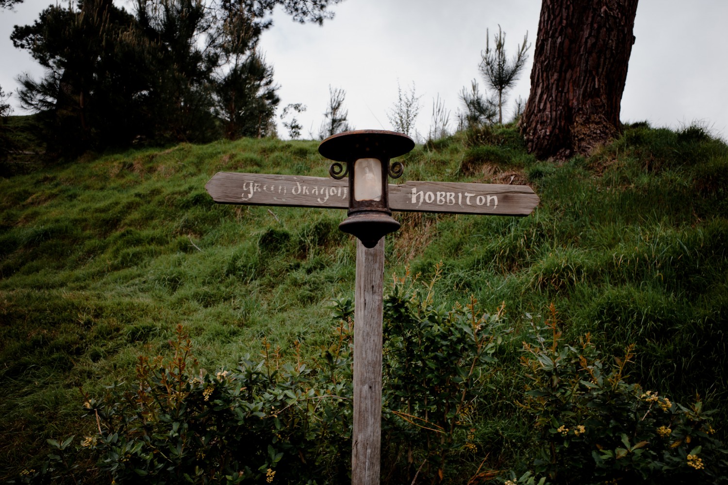 New Zealand - North Island - Chris A James