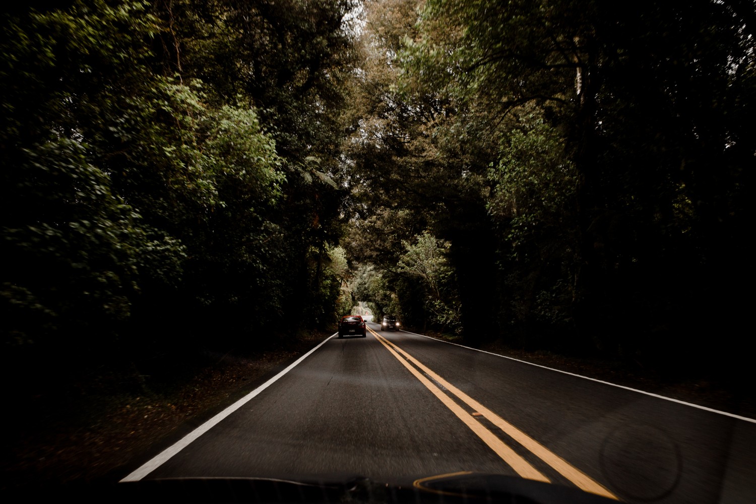 New Zealand - North Island - Chris A James