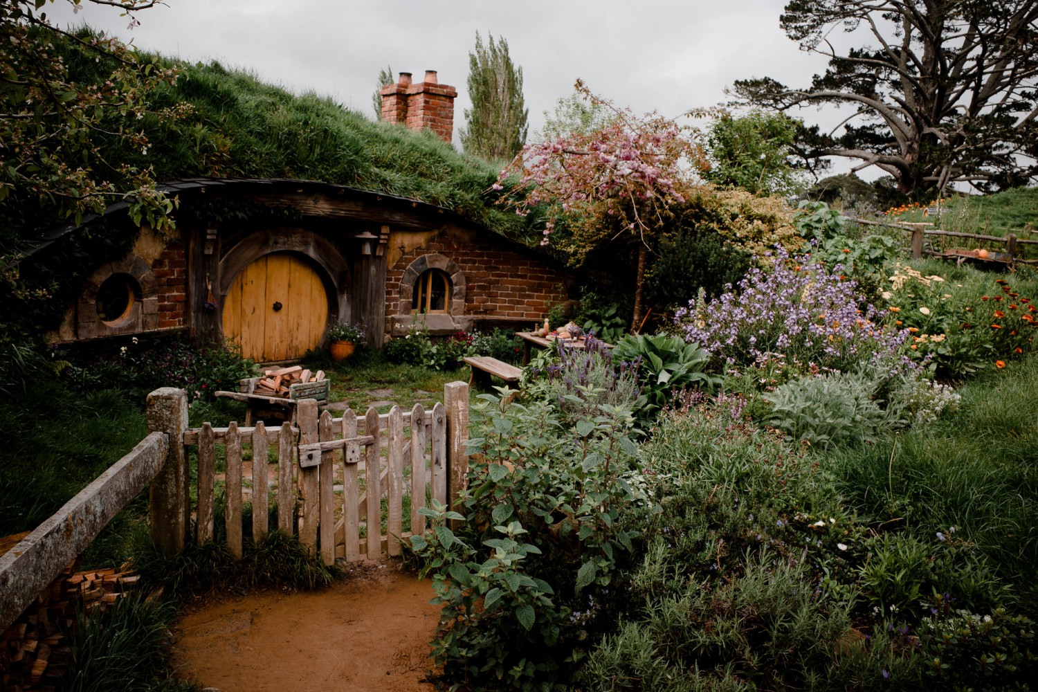 New Zealand - North Island - Chris A James