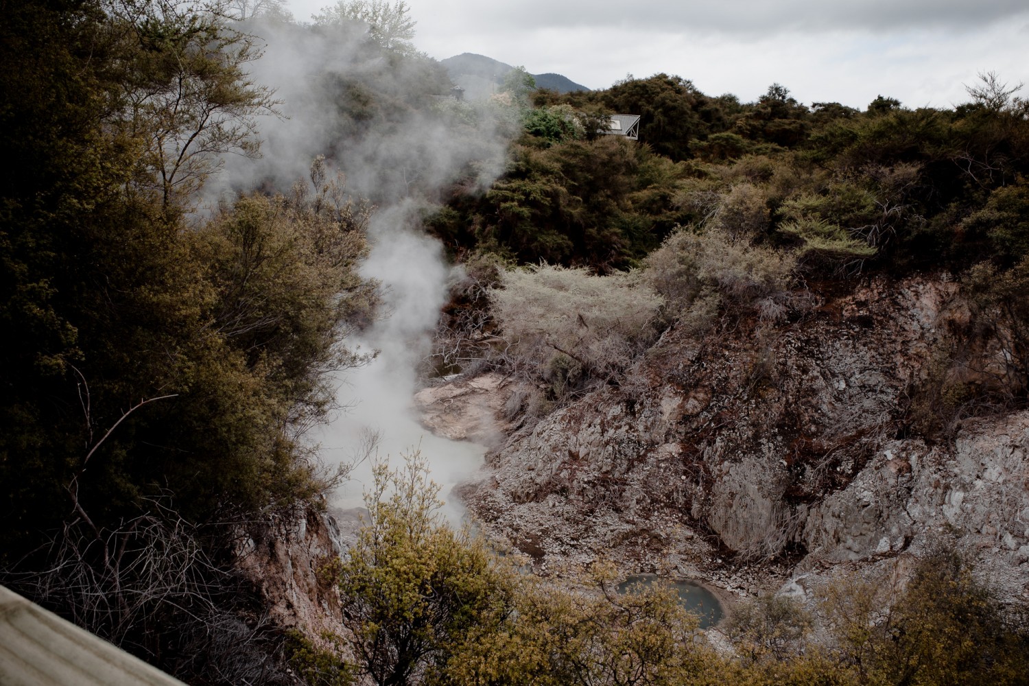 New Zealand - North Island - Chris A James