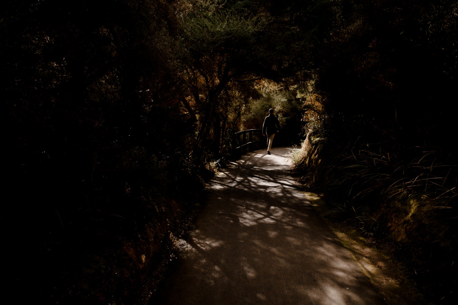 New Zealand - North Island - Chris A James