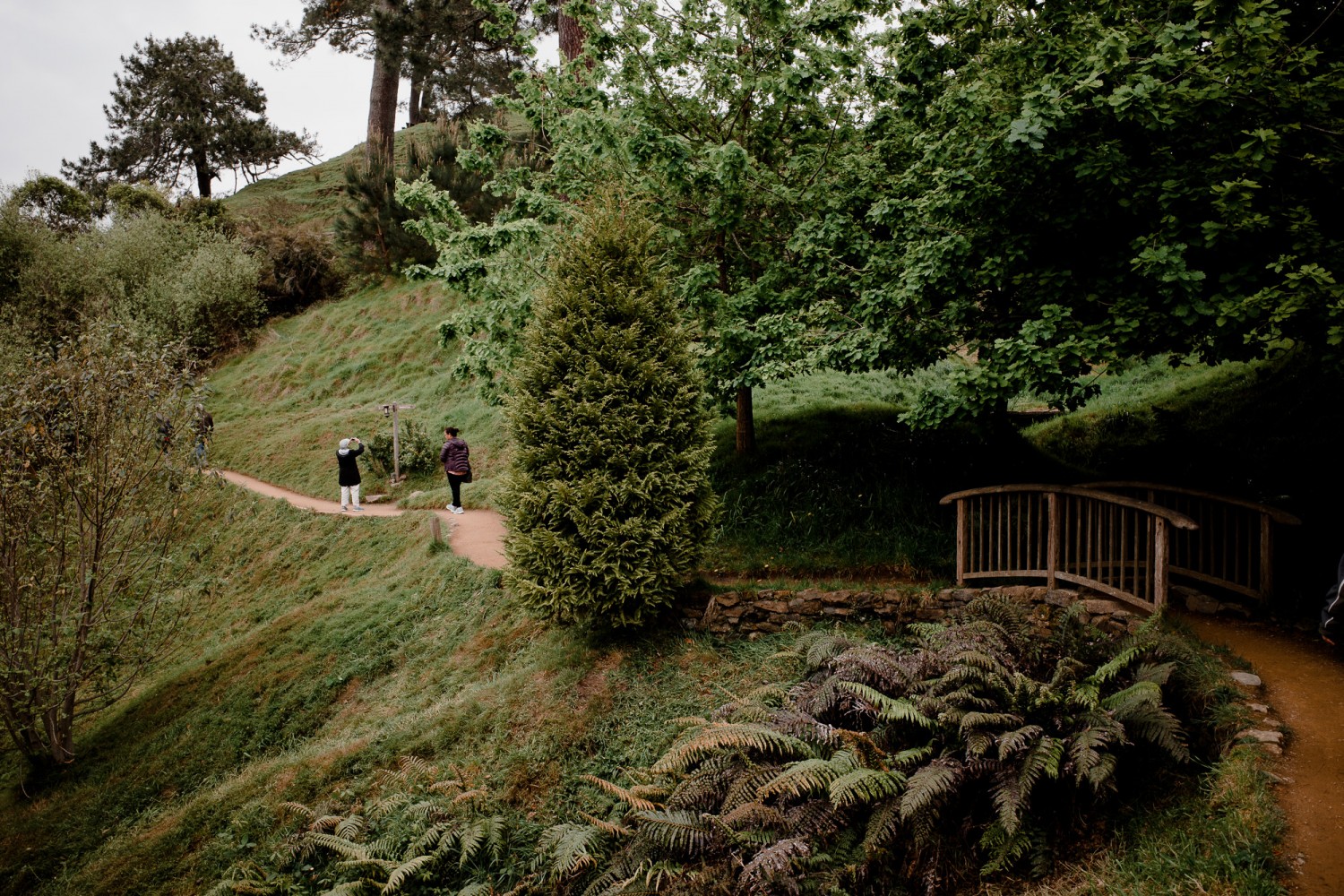 New Zealand - North Island - Chris A James