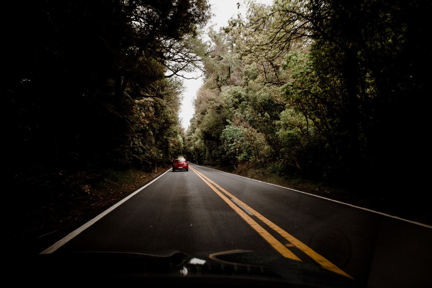 New Zealand - North Island - Chris A James