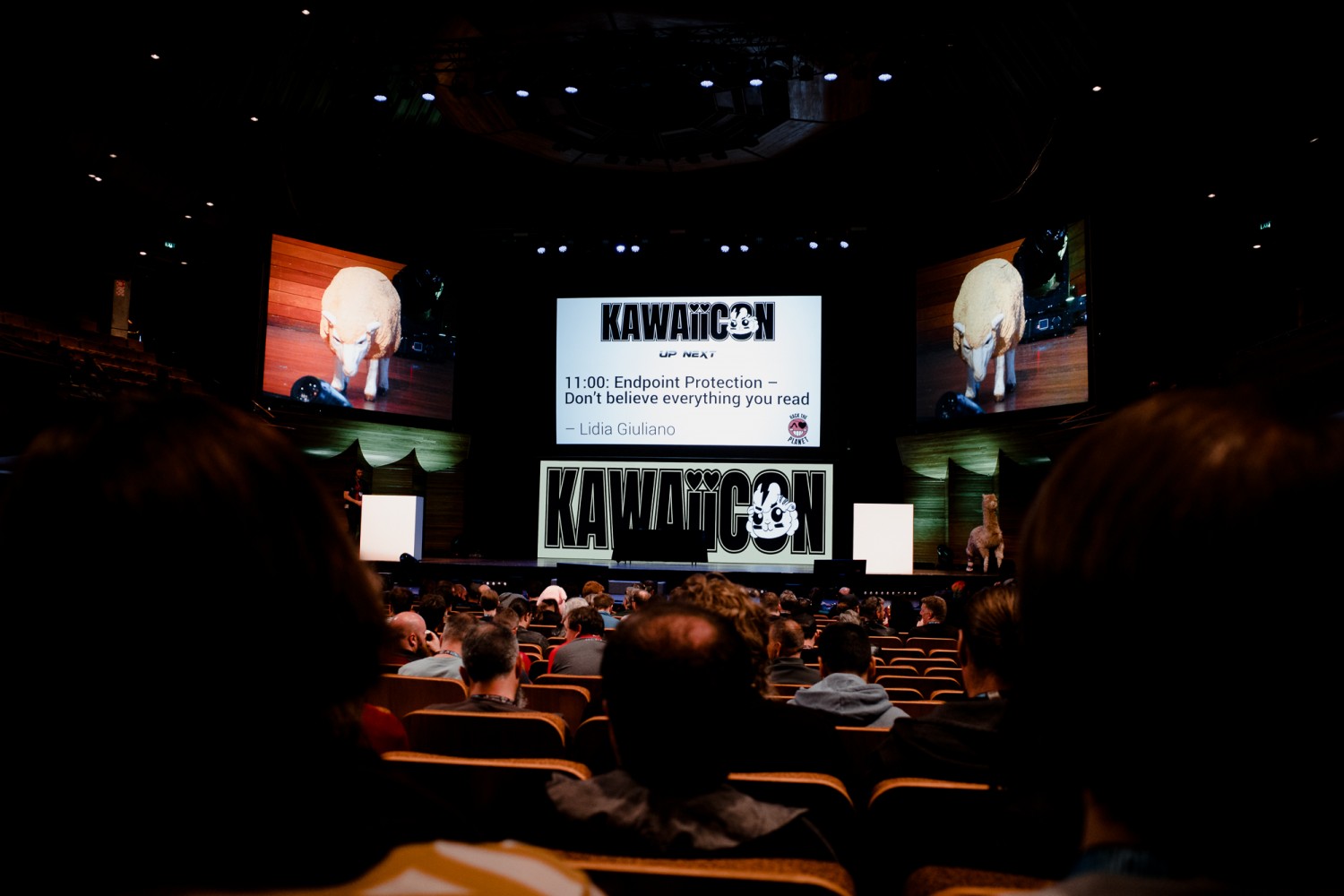 New Zealand - North Island - Chris A James