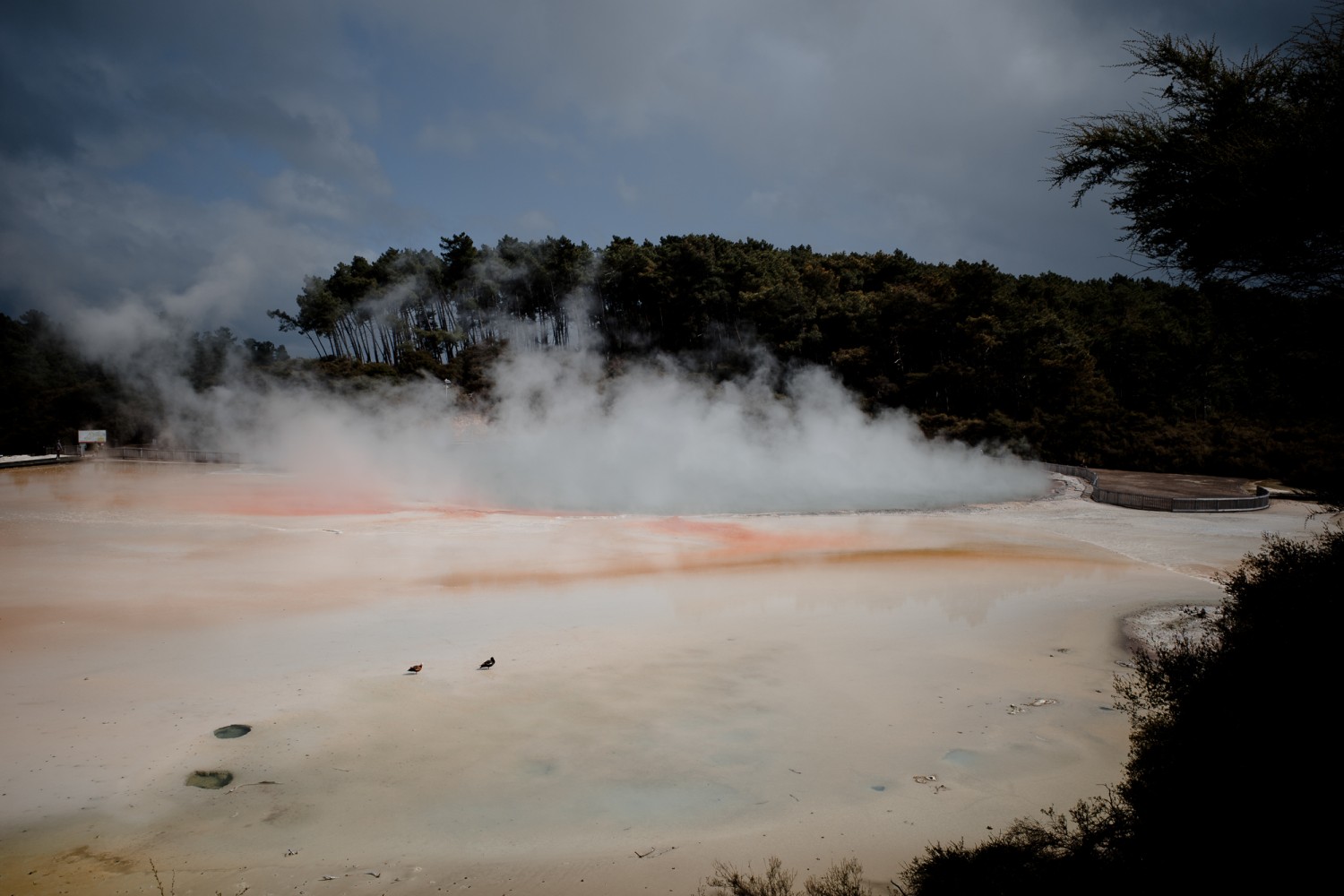 New Zealand - North Island - Chris A James