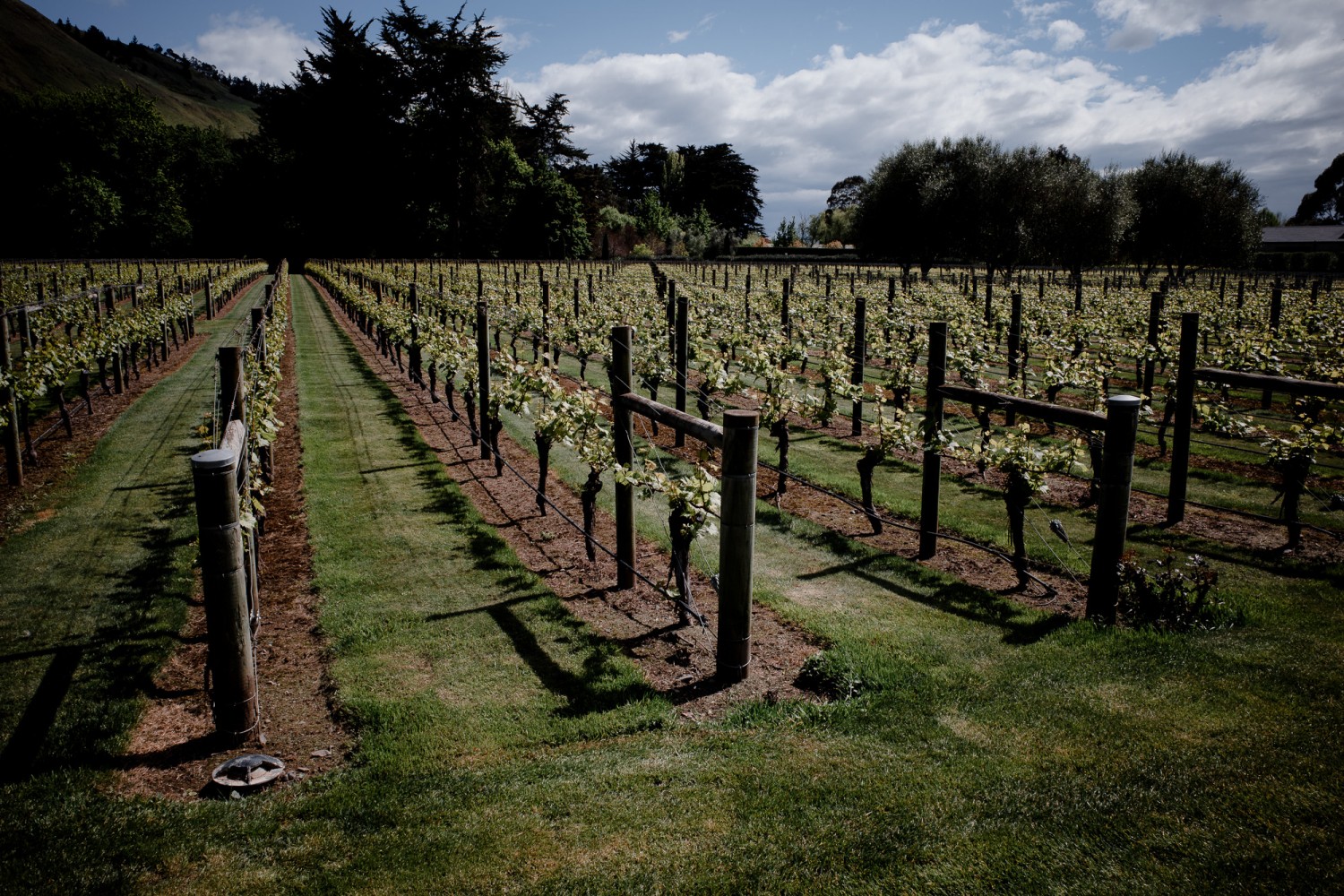 New Zealand - North Island - Chris A James