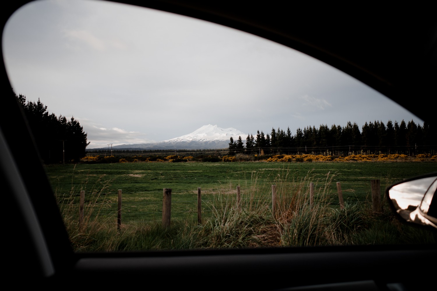 New Zealand - North Island - Chris A James