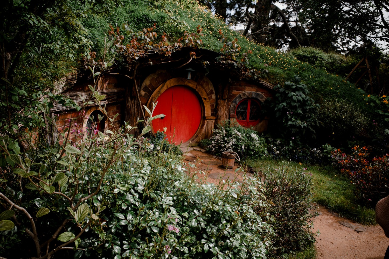 New Zealand - North Island - Chris A James