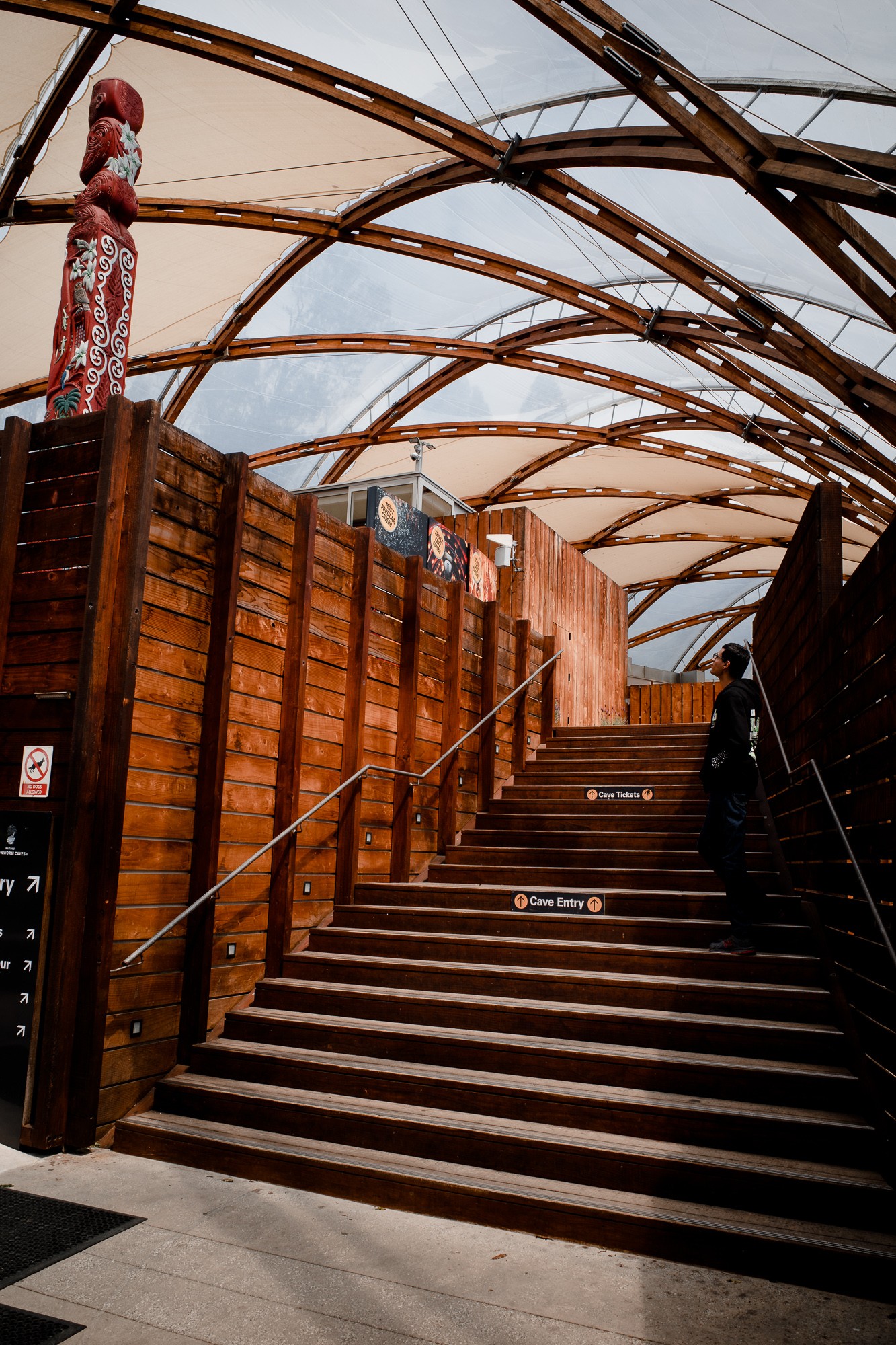 New Zealand - North Island - Chris A James