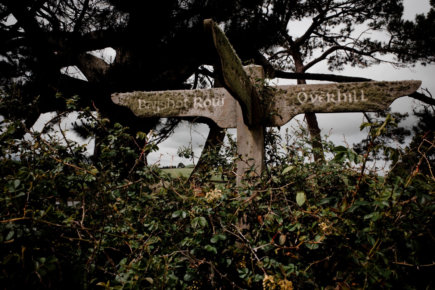 New Zealand - North Island - Chris A James