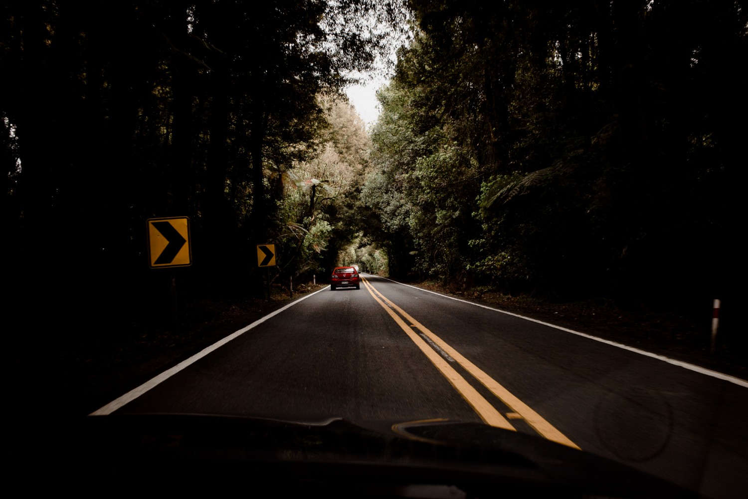 New Zealand - North Island - Chris A James