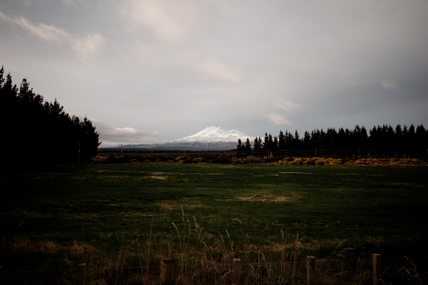 New Zealand - North Island - Chris A James