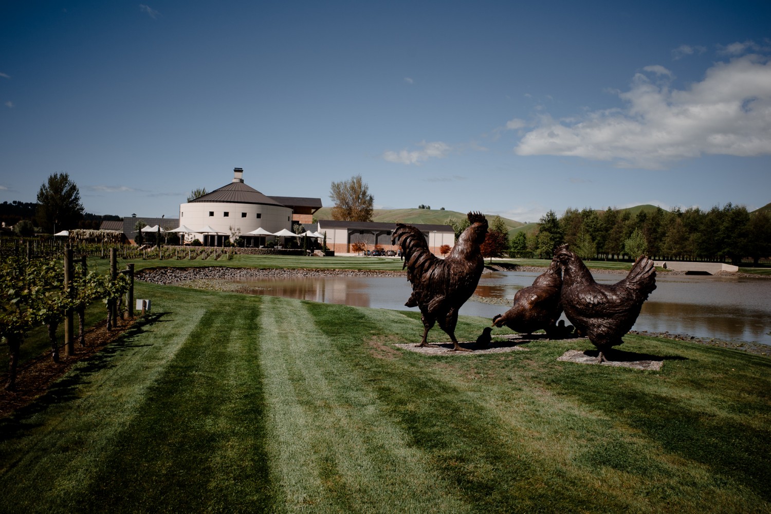 New Zealand - North Island - Chris A James